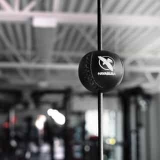 hayabusa double end ball 2